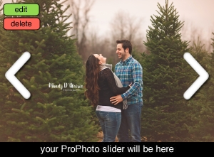 Stittsville Family Photographer – Maternity session at Hillcrest Tree Farm